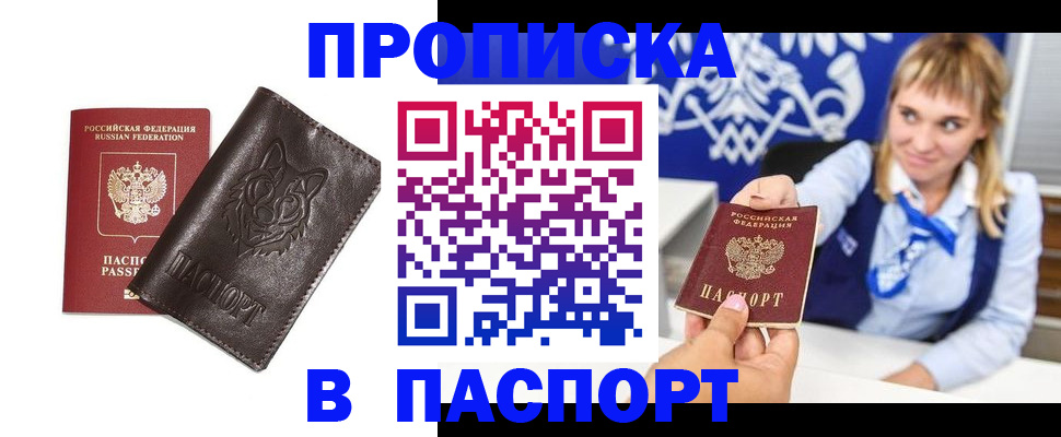 где прописаться в Пестово